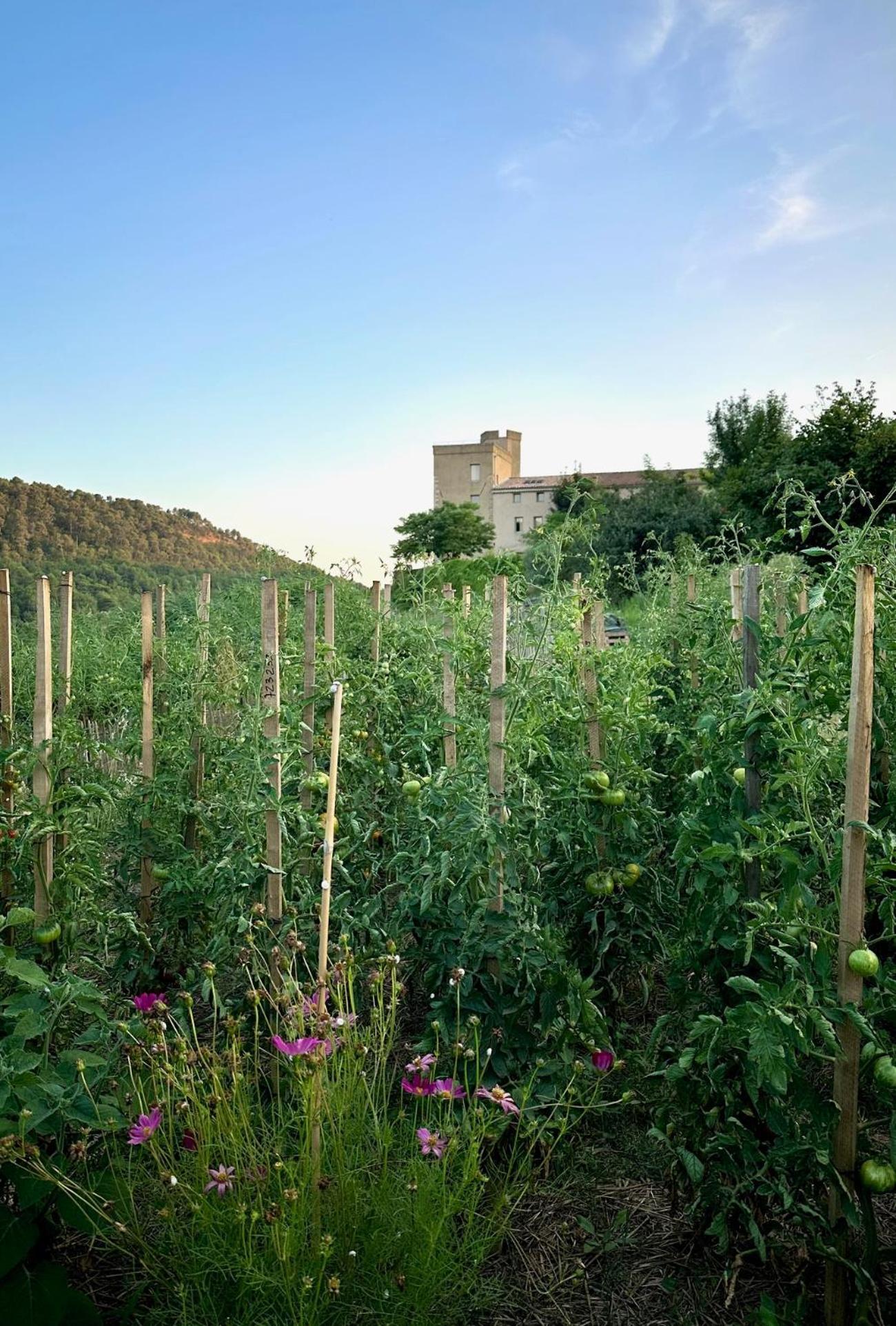 Domaine La Ferme Hi Bride Bed and Breakfast Villelaure Εξωτερικό φωτογραφία