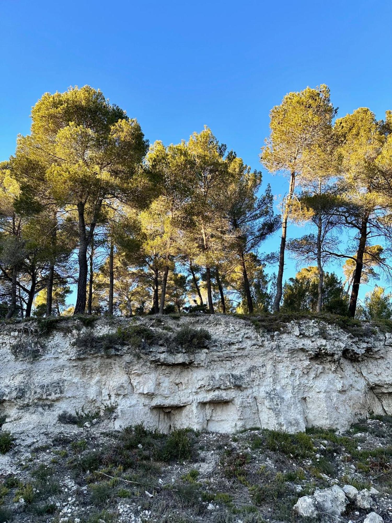 Domaine La Ferme Hi Bride Bed and Breakfast Villelaure Εξωτερικό φωτογραφία