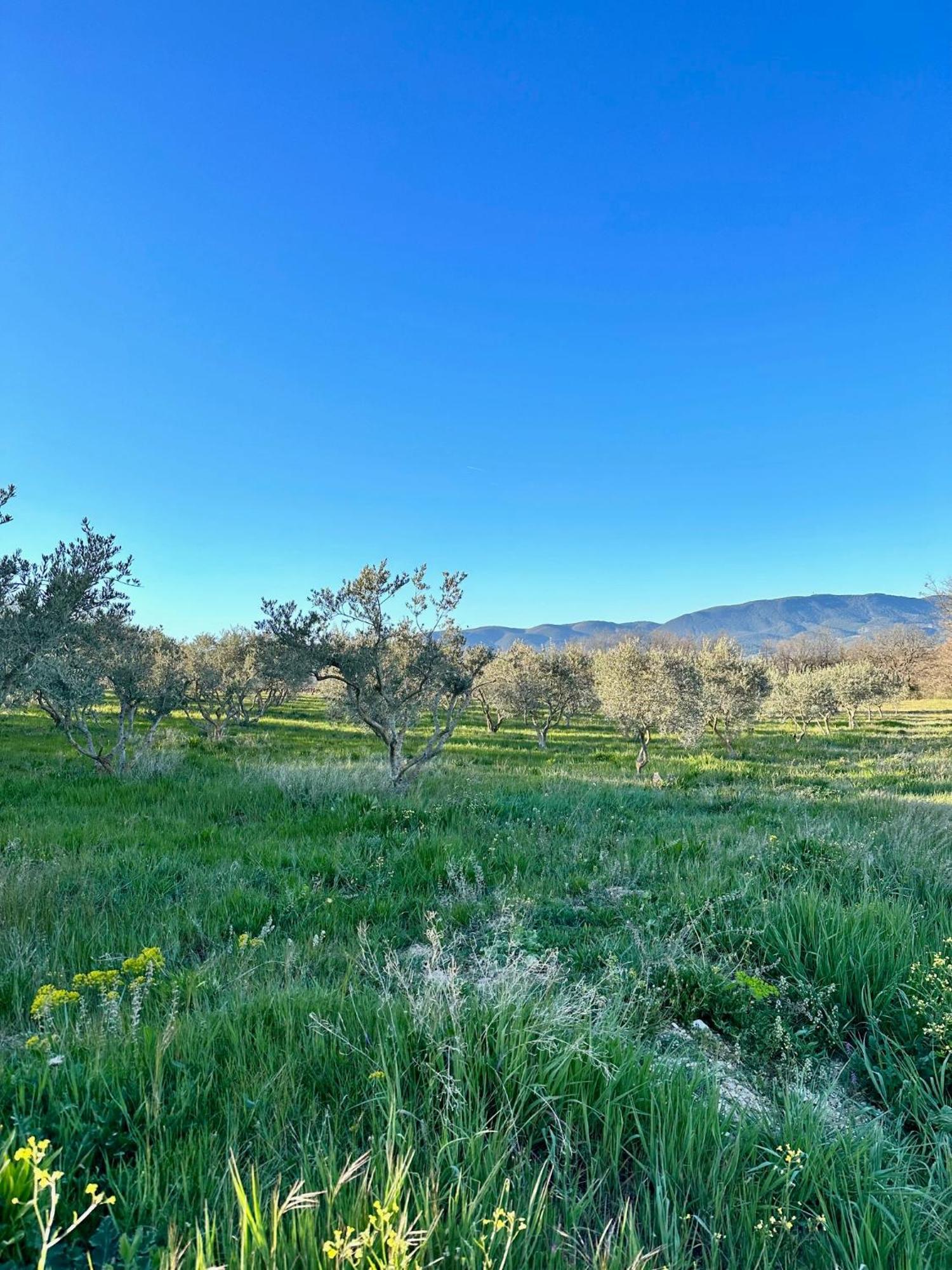 Domaine La Ferme Hi Bride Bed and Breakfast Villelaure Εξωτερικό φωτογραφία