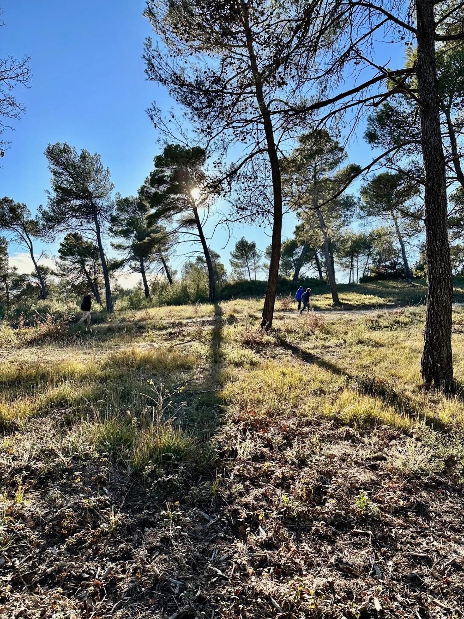Domaine La Ferme Hi Bride Bed and Breakfast Villelaure Εξωτερικό φωτογραφία